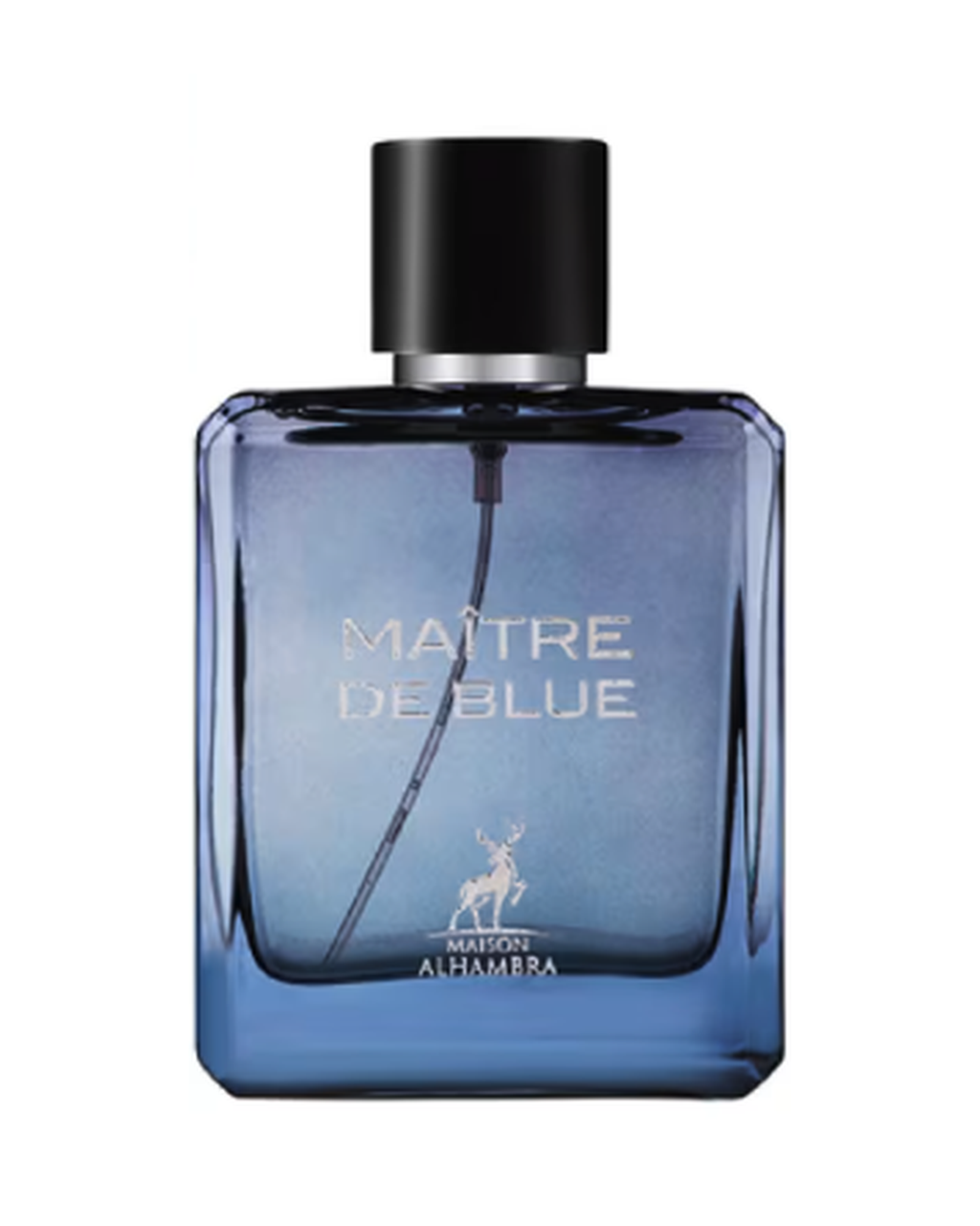 Maitre de blue - Maison Alhambra
