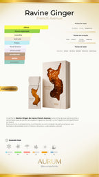 Notas olfativas de Ravine Ginger - French Avenue